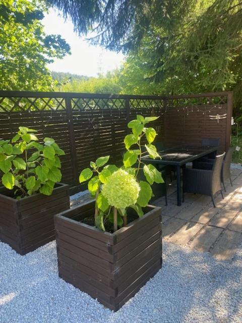 Ferienwohnung Bialy Zakatek Schreiberhau Exterior foto