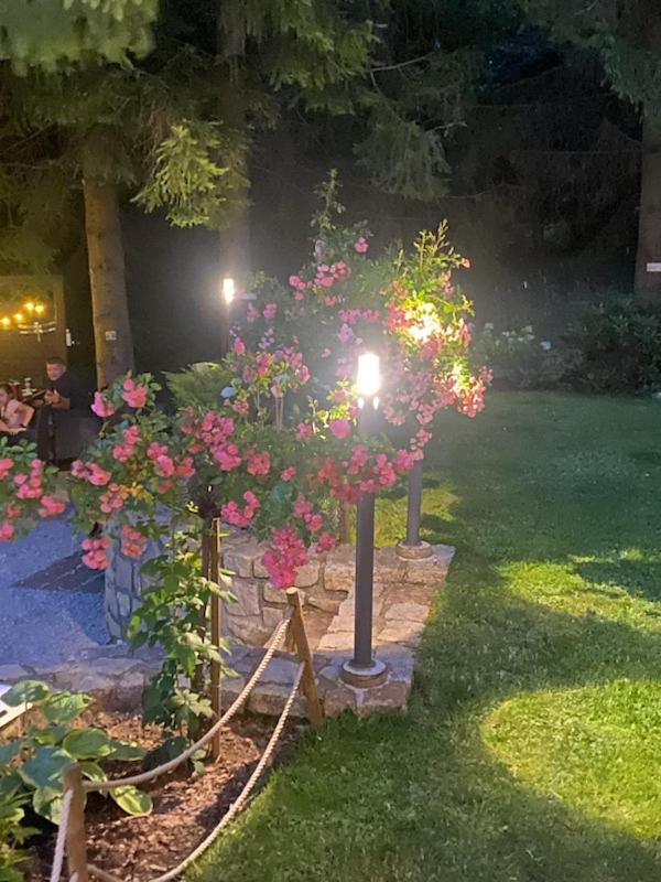 Ferienwohnung Bialy Zakatek Schreiberhau Exterior foto